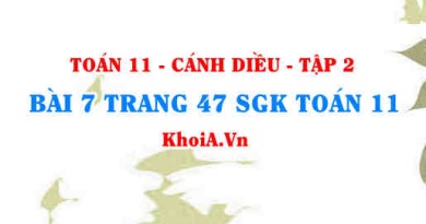 Bài 7 trang 47 Toán 11 tập 2 Cánh Diều